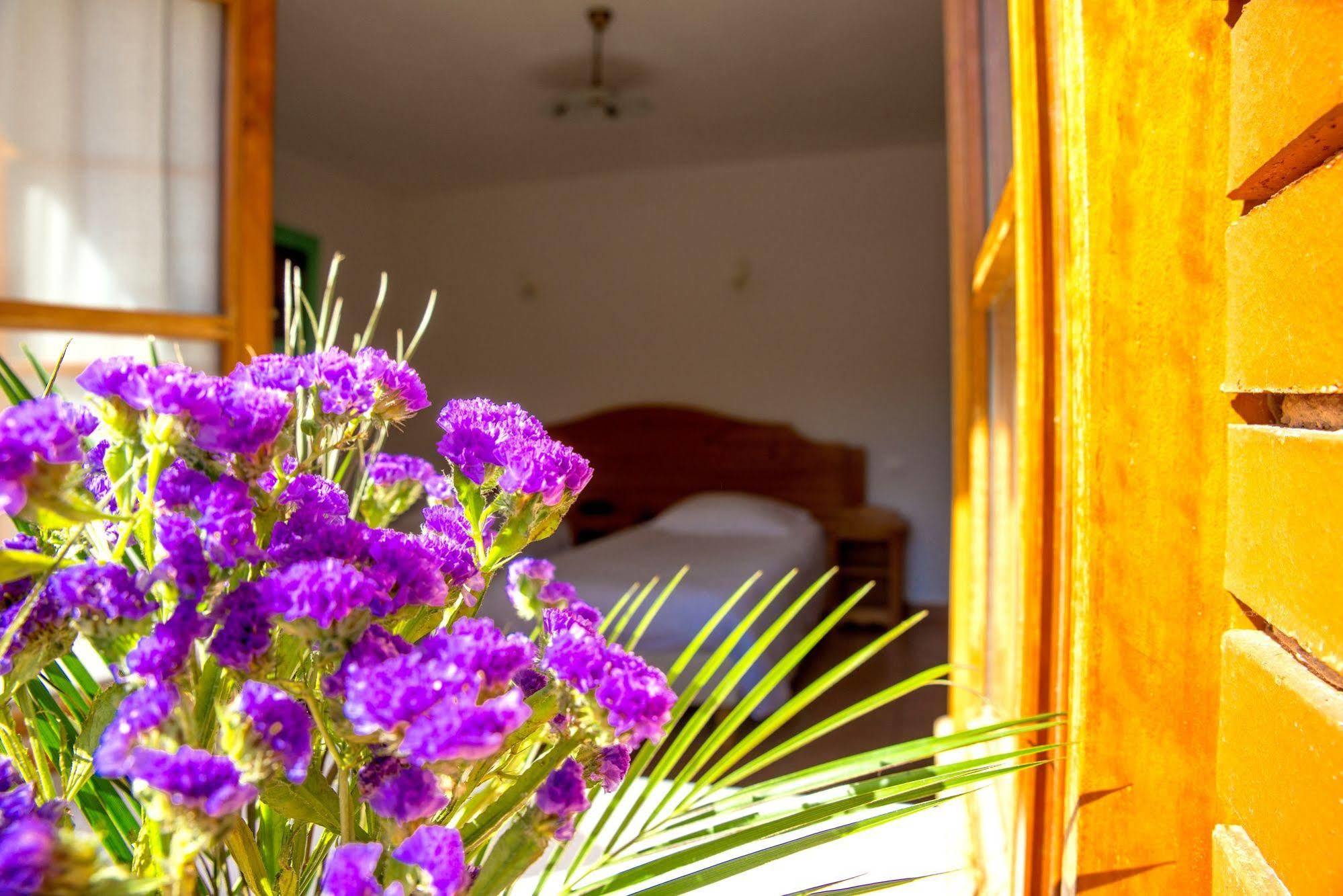 Domaine De La Plagnette Hotel Les Salles Kültér fotó